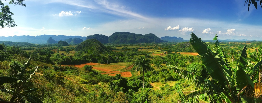 The lush greenery of the Viñales Valley in Cuba